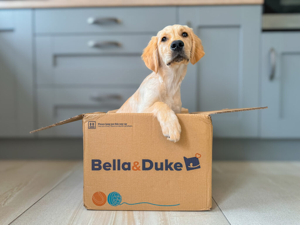 Pet Food Marketing Trends 2025: Mastering the Pet Food Market