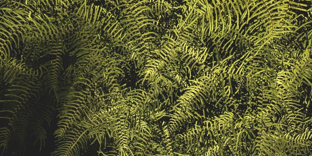 Can your brand survive the wellness cultural shift?_5ee33c945dd56.jpeg