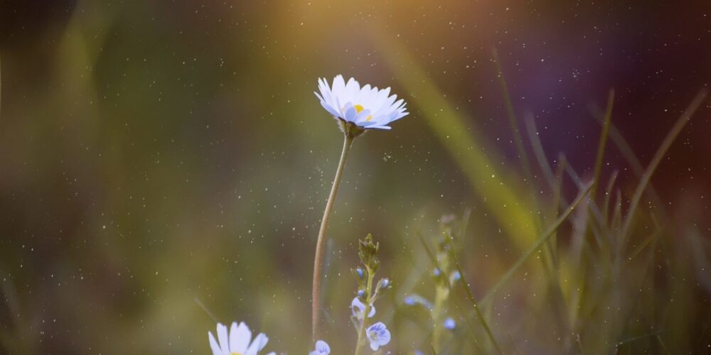 Creating your own buyer journey to boost your lead generation capabilities_5ee33d5d2607b.jpeg