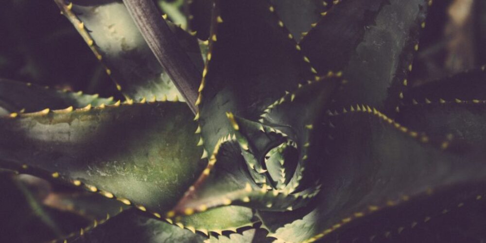 Gen Z want better from your brand_5ee33c7db6e85.jpeg