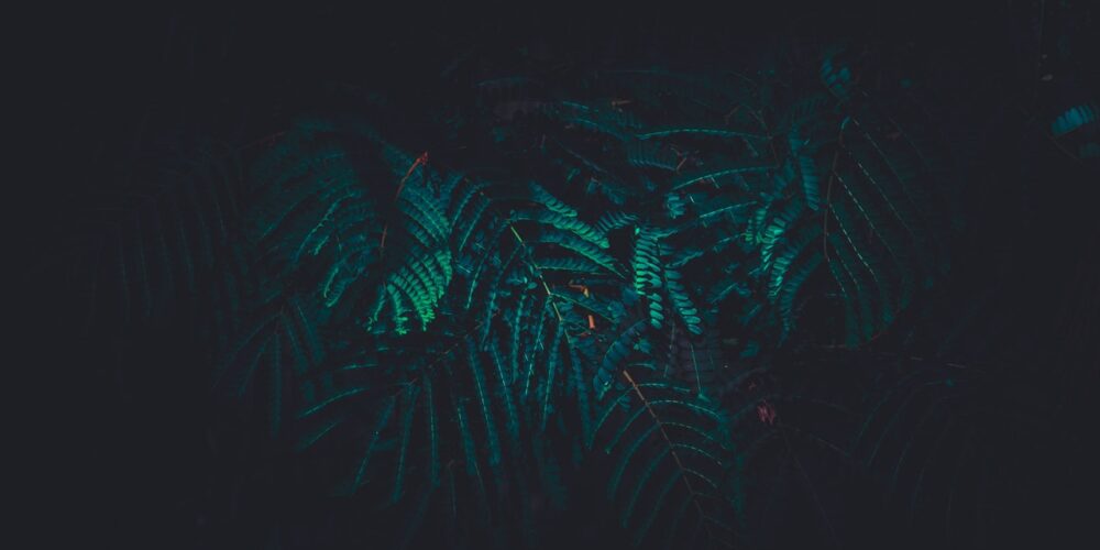 Growth hacking for beginners: 10 tips to take your mobile app startup to new heights_5ee33d163deb5.jpeg