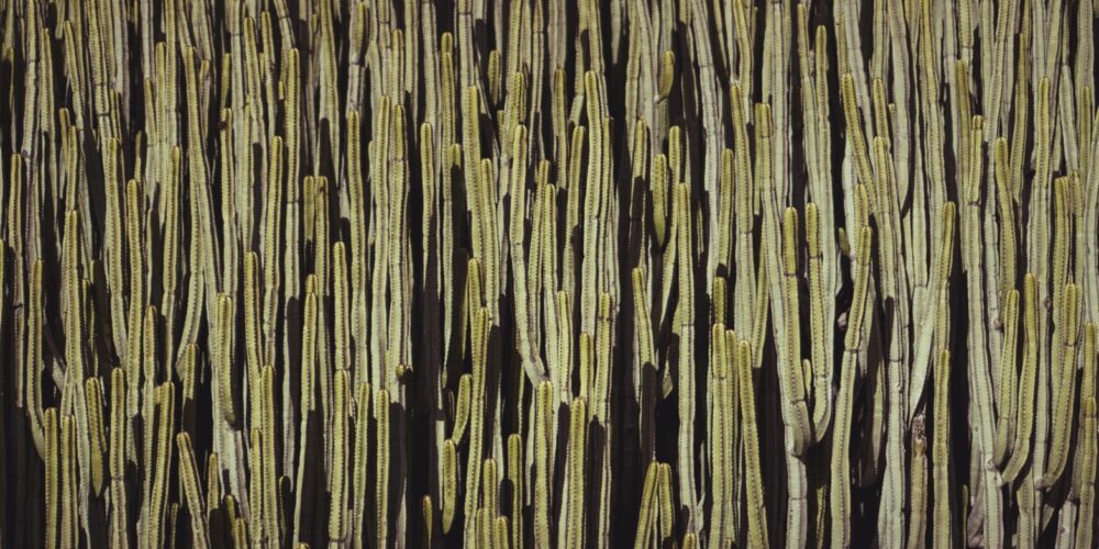 How can long-form content optimise your sales conversions?_5ee33d78d485f.jpeg How can long-form content optimise your sales conversions?_5ee33d78d485f.jpeg