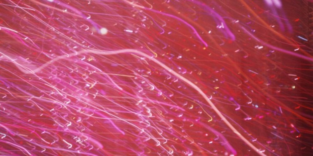 What does online activism mean for your brand image?_5ee33c091d711.jpeg