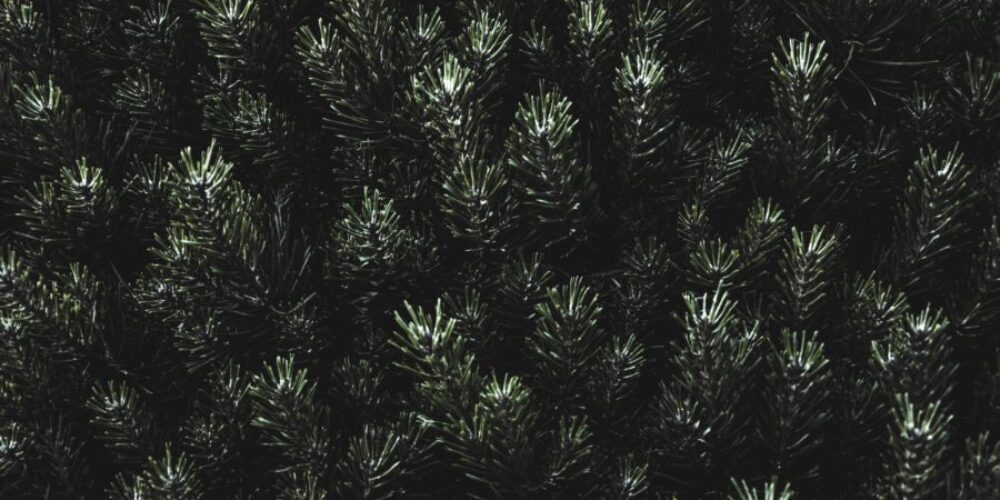 Without brand management, no-one will ever love you_5ee33c160179c.jpeg